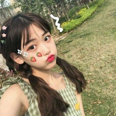 鲨与鲸